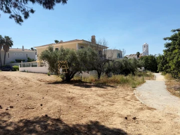 Terreno para Venda em Santa Barbara de Nexe
