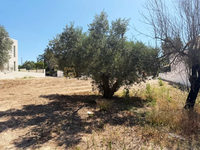 Terreno para Venda em Santa Barbara de Nexe Foto 7