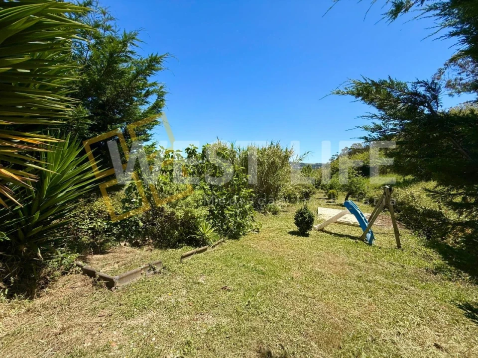 Terreno para Venda em Santo Isidoro Foto 3