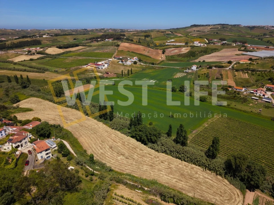 Terreno para Venda em Santo Isidoro Foto 9