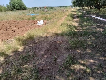 Terreno para Venda em Quarteira