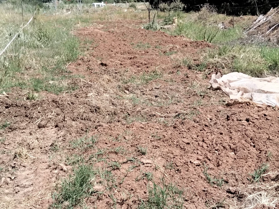 Terreno para Venda em Quarteira Foto 12