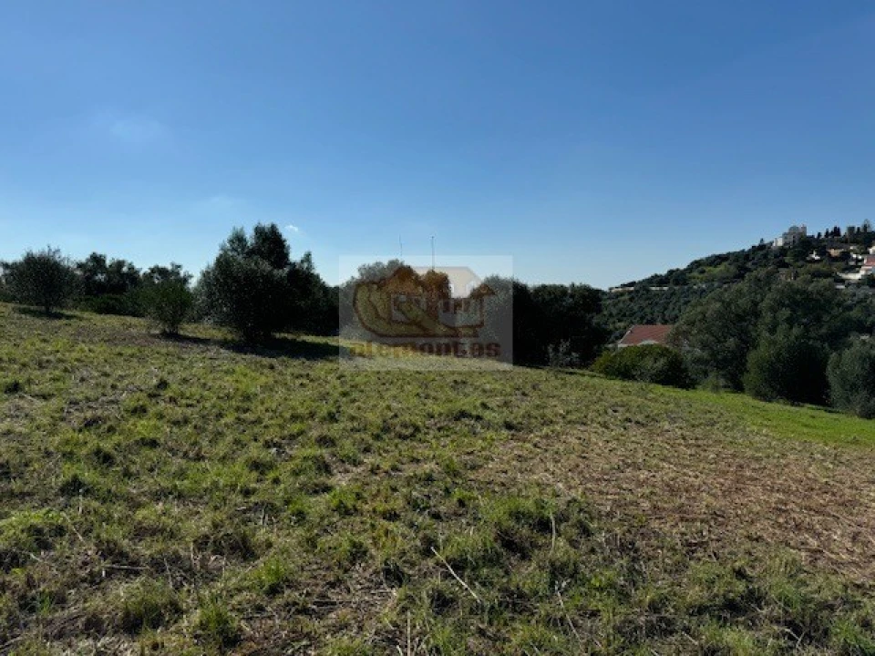 Terreno para Venda em Santiago do Cacém, Santa Cruz e São Bartolomeu da Serra Foto 13