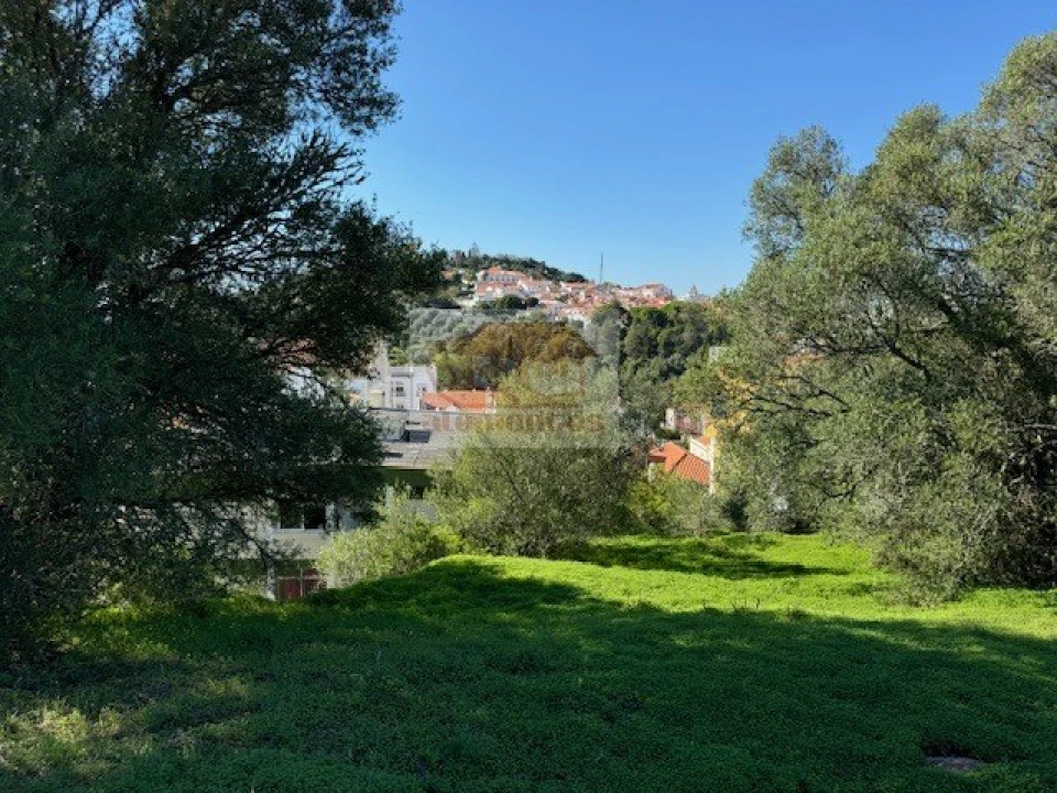 Terreno para Venda em Santiago do Cacém, Santa Cruz e São Bartolomeu da Serra Foto 15