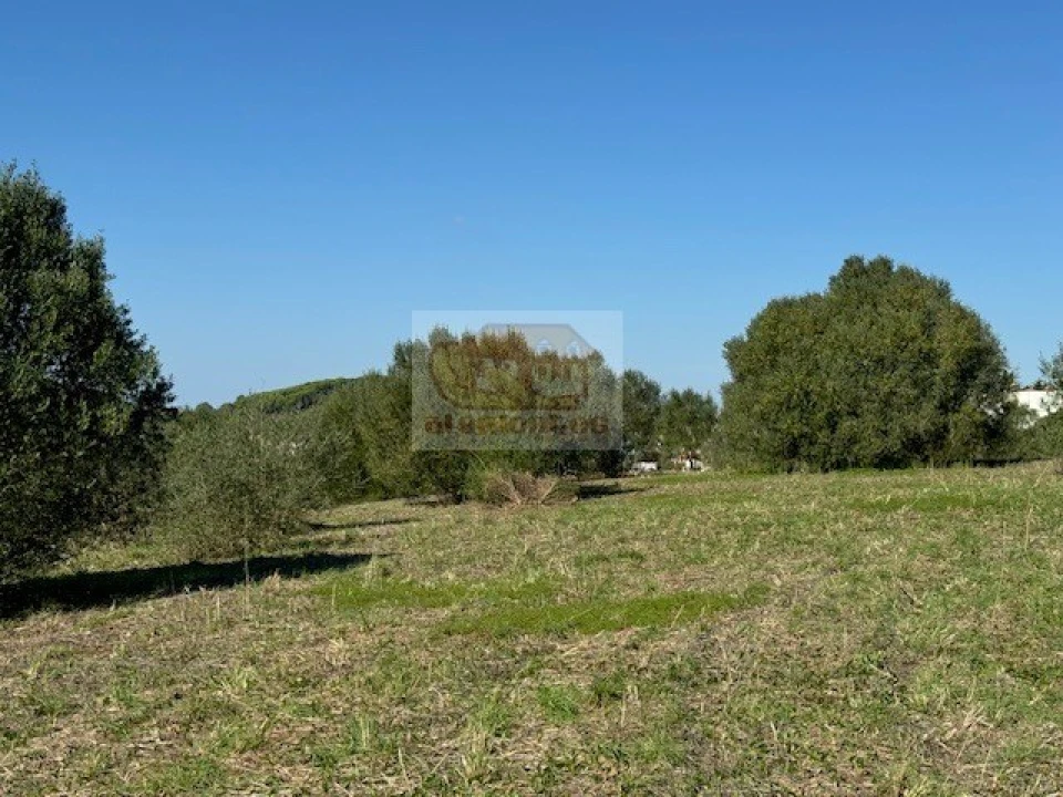 Terreno para Venda em Santiago do Cacém, Santa Cruz e São Bartolomeu da Serra Foto 16