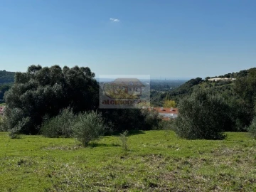 Terreno para Venda em Santiago do Cacém, Santa Cruz e São Bartolomeu da Serra