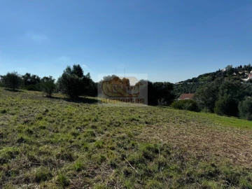 Terreno para Venda em Santiago do Cacém, Santa Cruz e São Bartolomeu da Serra