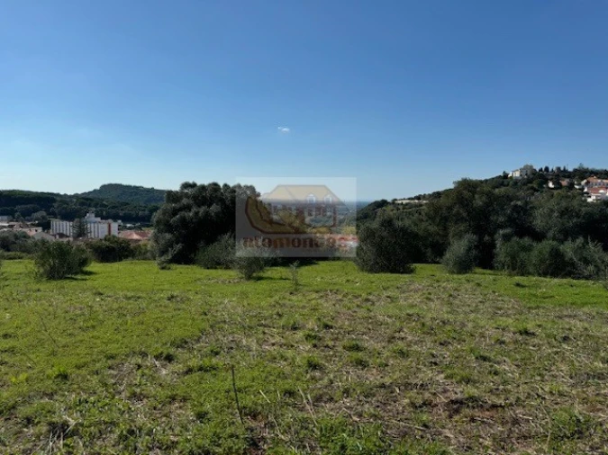 Terreno para Venda em Santiago do Cacém, Santa Cruz e São Bartolomeu da Serra Foto 3