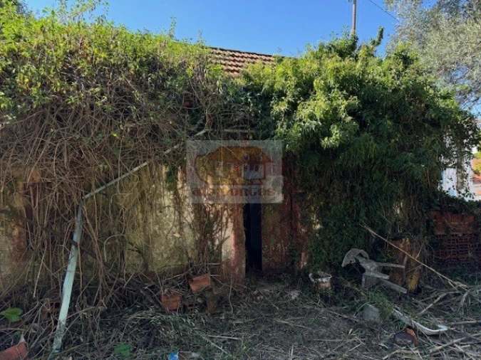 Terreno para Venda em Santiago do Cacém, Santa Cruz e São Bartolomeu da Serra Foto 14