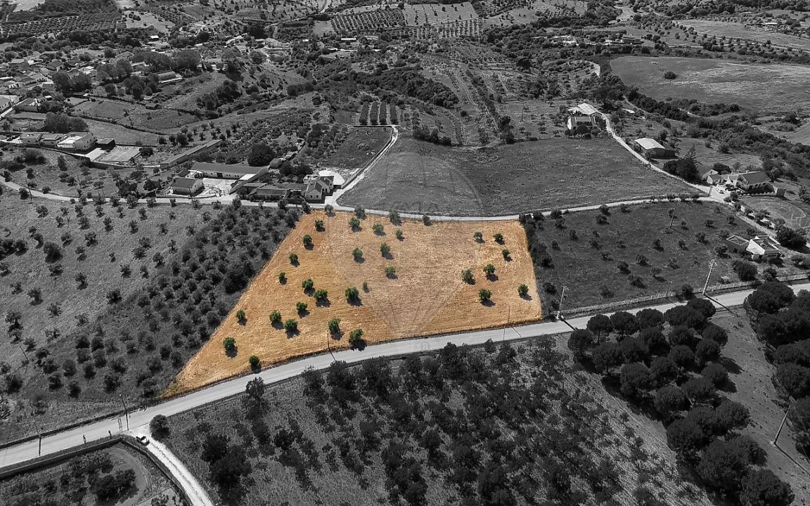 Terreno para Venda em Azoia de Cima e Tremês Foto 8