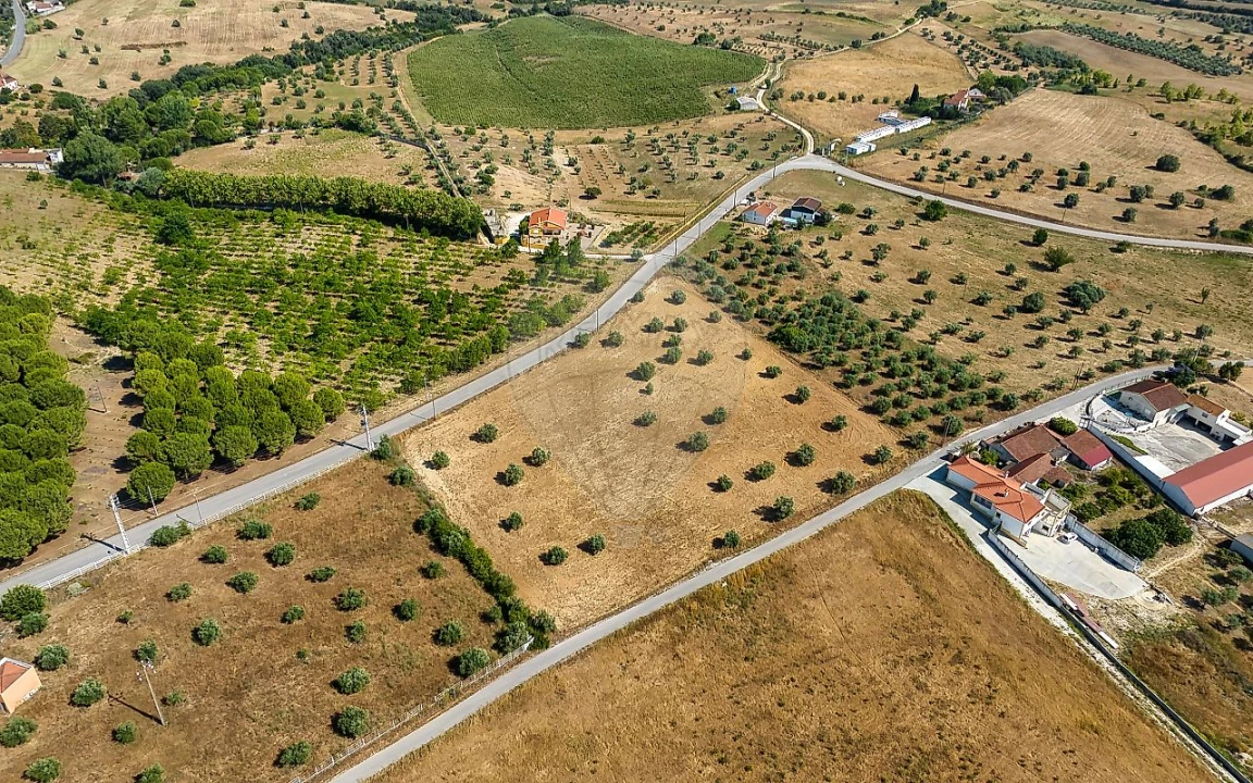 Terreno para Venda em Azoia de Cima e Tremês Foto 14