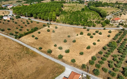 Terreno para Venda em Azoia de Cima e Tremês