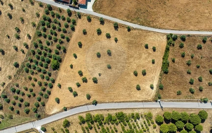 Terreno para Venda em Azoia de Cima e Tremês
