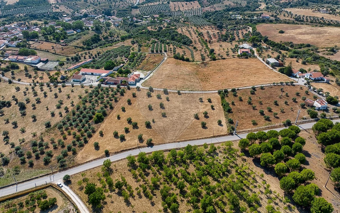 Terreno para Venda em Azoia de Cima e Tremês Foto 10