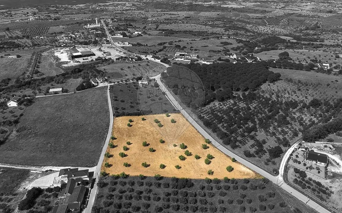 Terreno para Venda em Azoia de Cima e Tremês Foto 1
