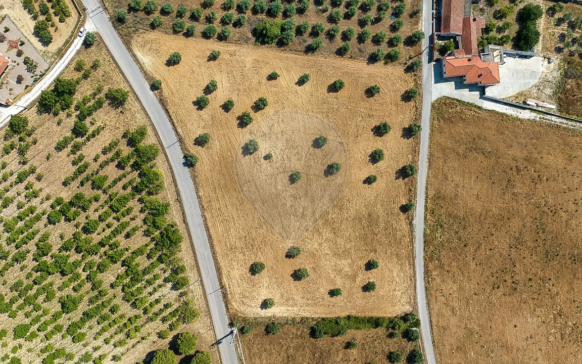 Terreno para Venda em Azoia de Cima e Tremês Foto 3