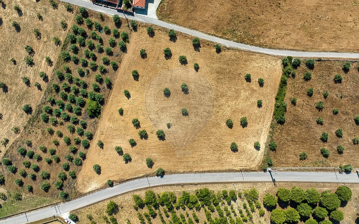 Terreno para Venda em Azoia de Cima e Tremês Foto 5