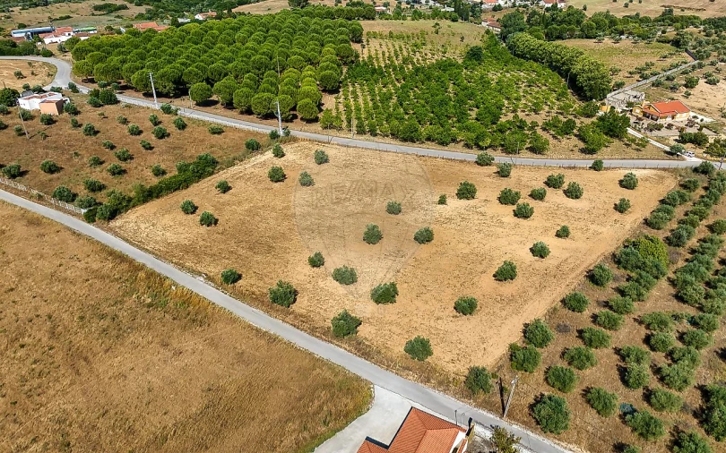 Terreno para Venda em Azoia de Cima e Tremês Foto 17