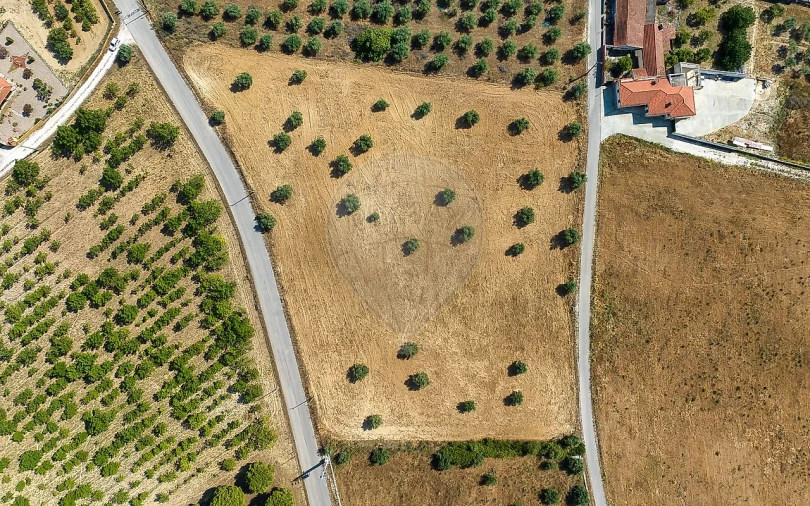 Terreno para Venda em Azoia de Cima e Tremês Foto 3
