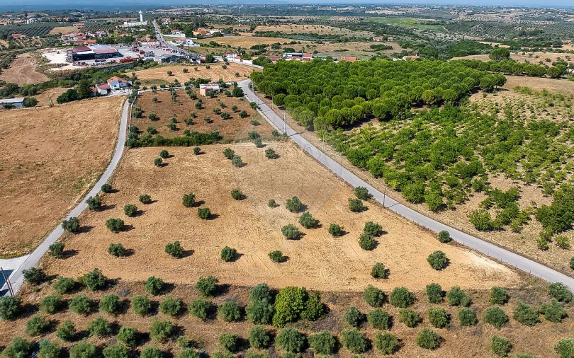 Terreno para Venda em Azoia de Cima e Tremês Foto 18