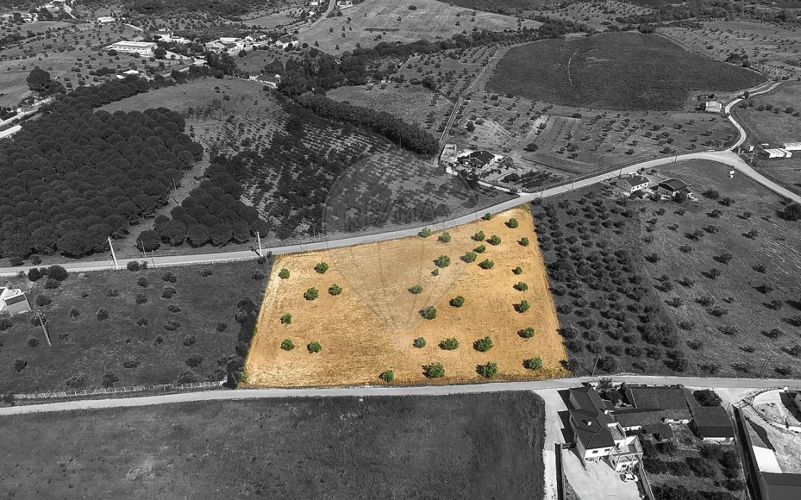 Terreno para Venda em Azoia de Cima e Tremês Foto 13