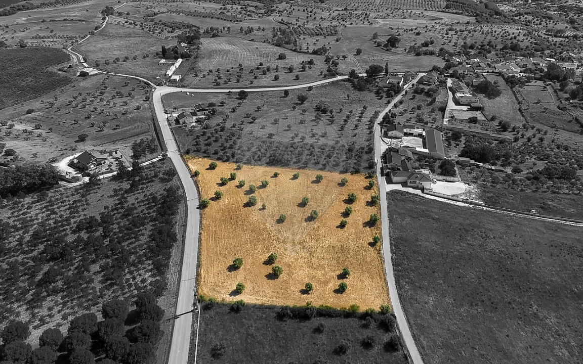 Terreno para Venda em Azoia de Cima e Tremês Foto 11