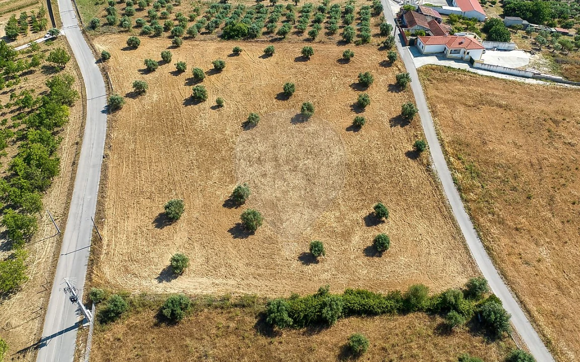 Terreno para Venda em Azoia de Cima e Tremês Foto 20