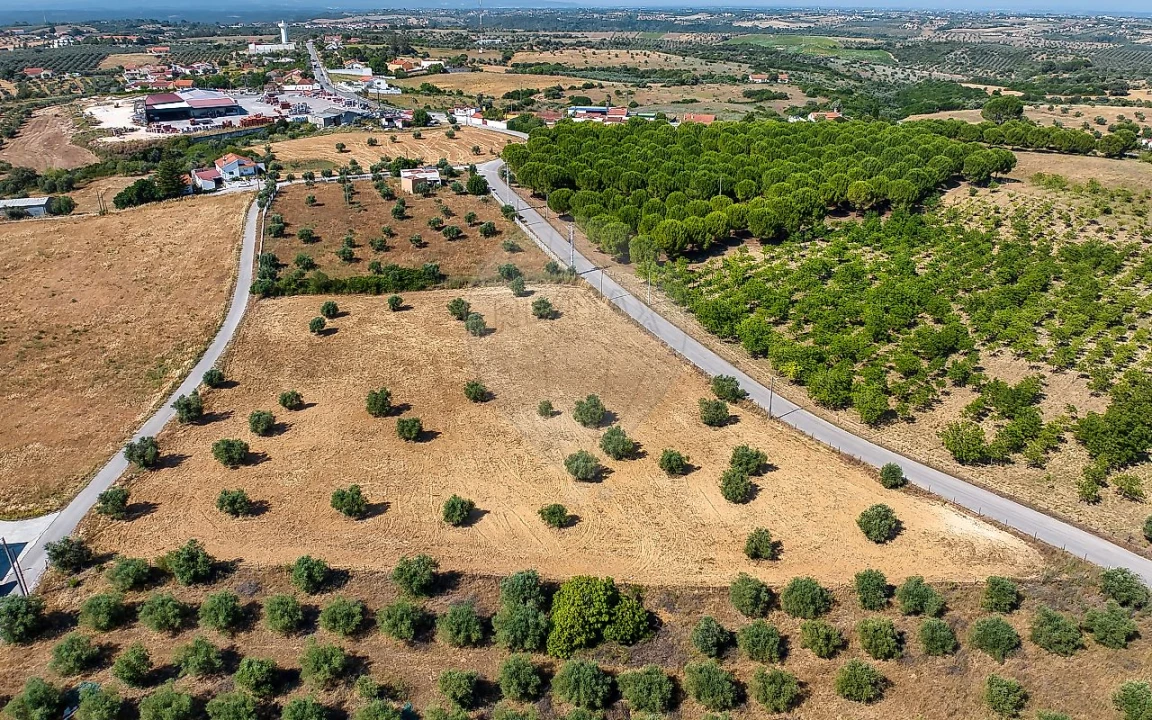 Terreno para Venda em Azoia de Cima e Tremês Foto 18