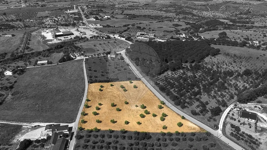 Terreno para Venda em Azoia de Cima e Tremês