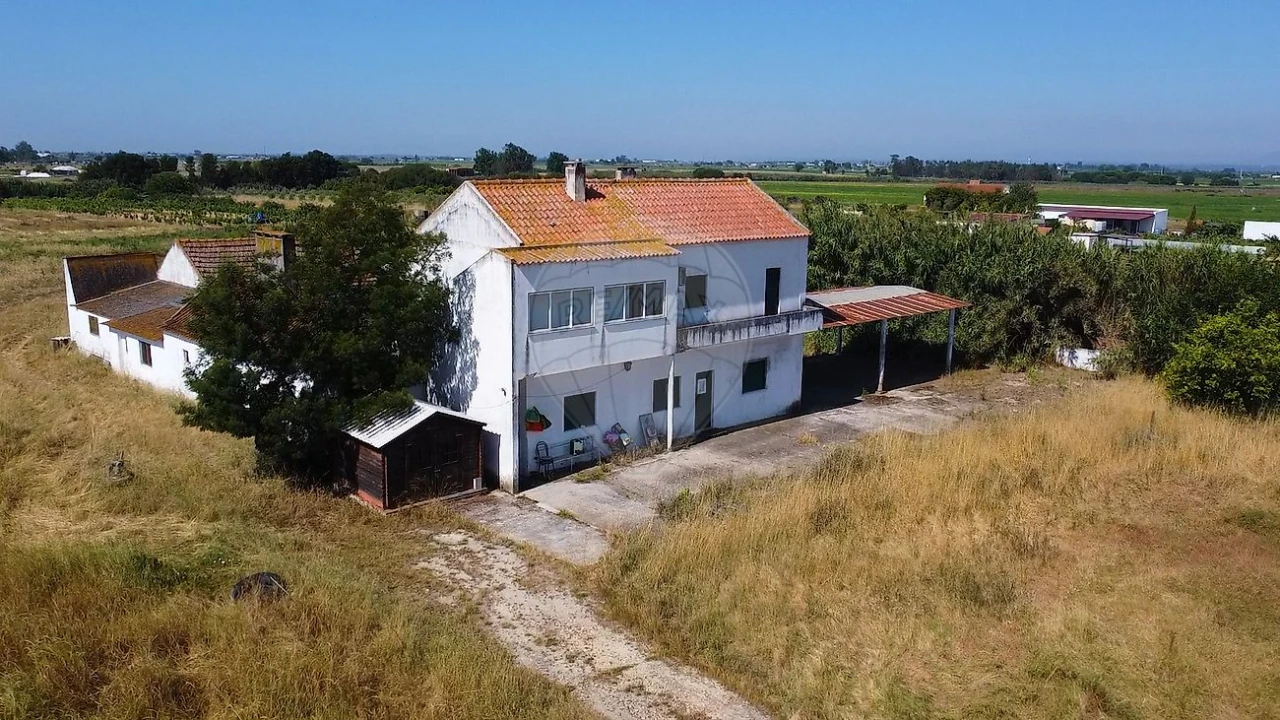 Quinta T
           para Venda em Almeirim Foto 10