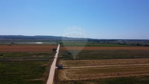 Quinta T
           para Venda em Almeirim