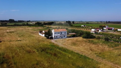 Quinta T
           para Venda em Almeirim