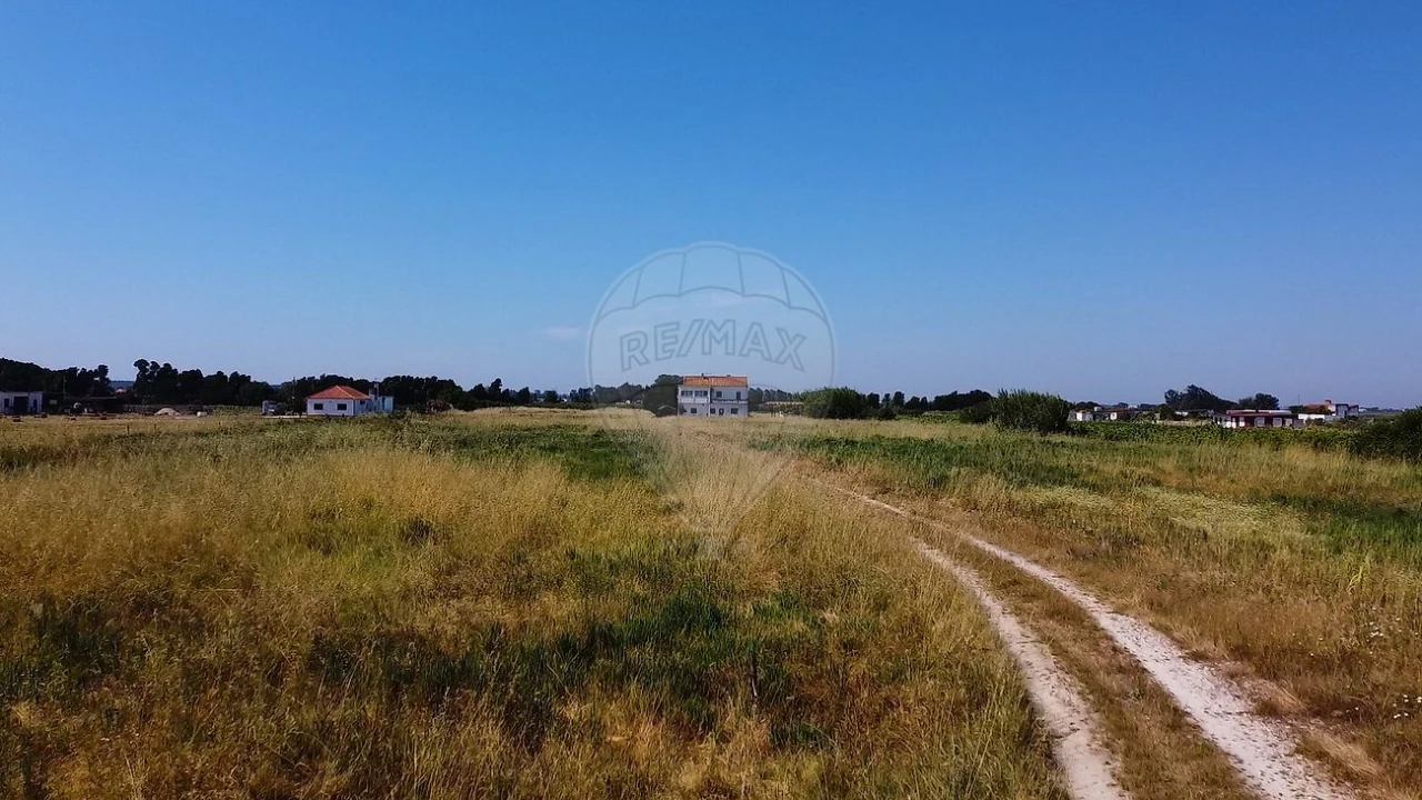 Quinta T
           para Venda em Almeirim Foto 1