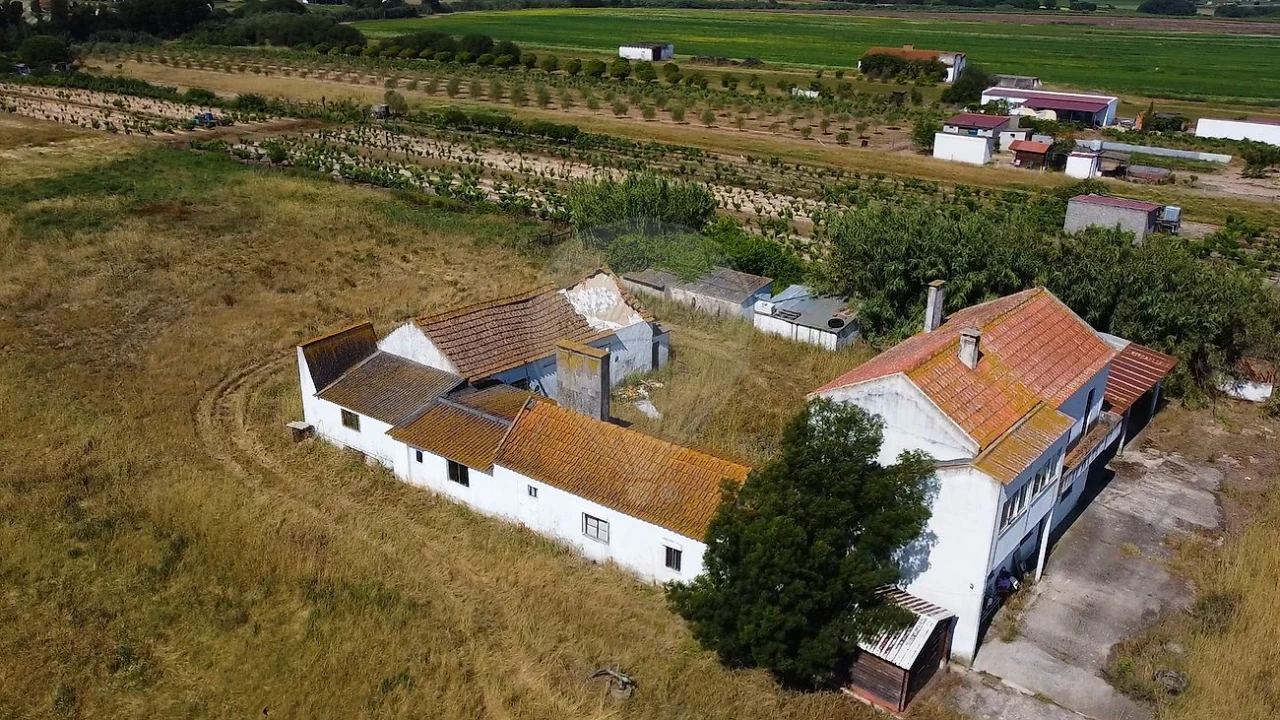 Quinta T
           para Venda em Almeirim Foto 9