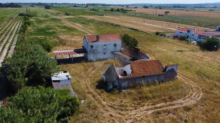 Quinta T
           para Venda em Almeirim Foto 4