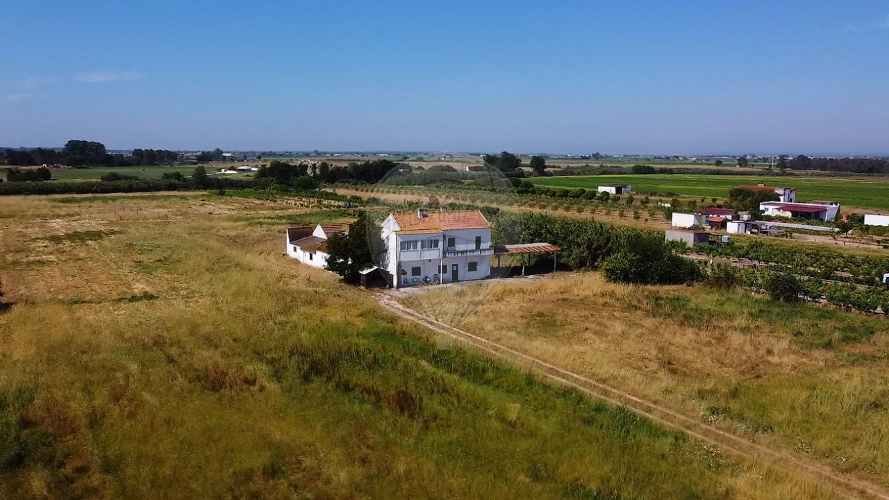 Quinta T
           para Venda em Almeirim Foto 3