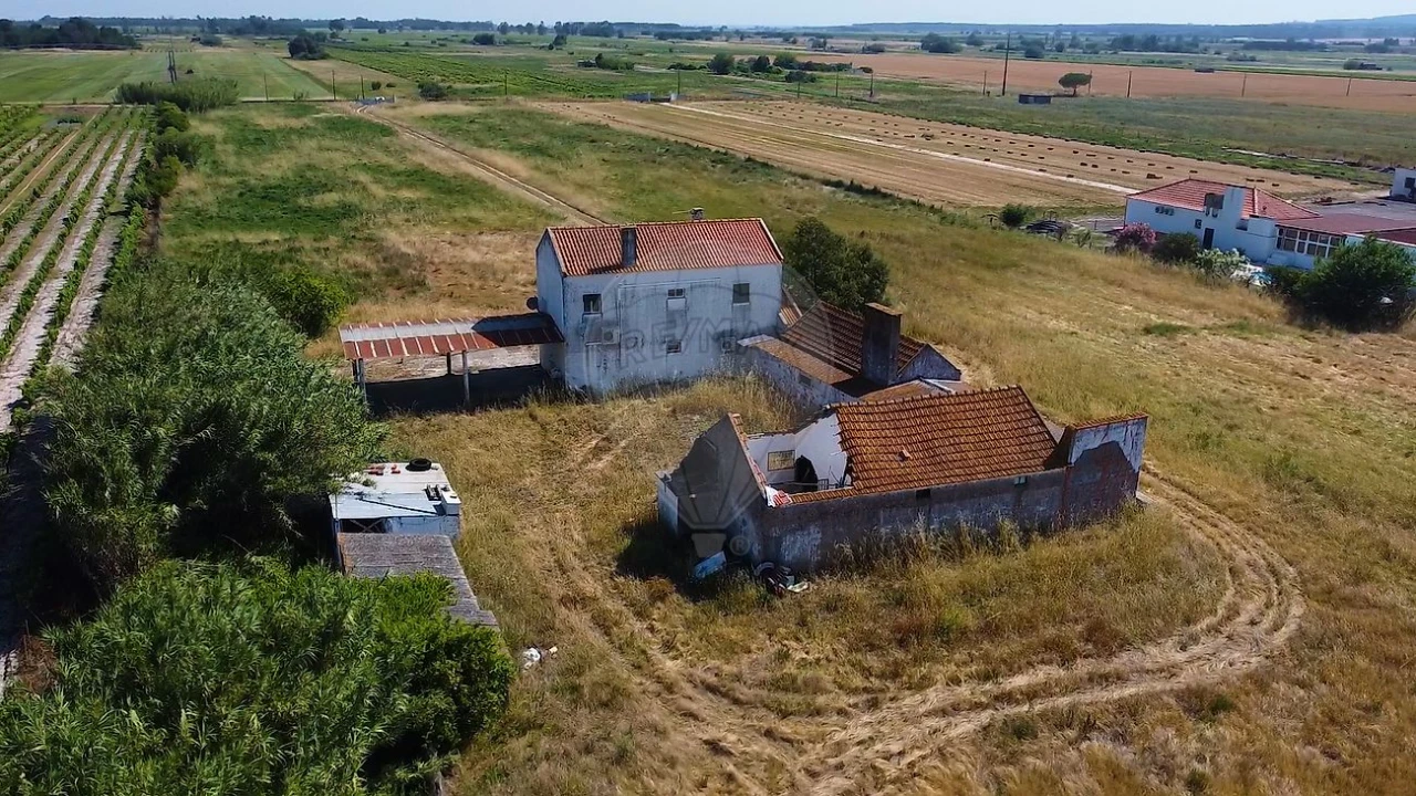 Quinta T
           para Venda em Almeirim Foto 4
