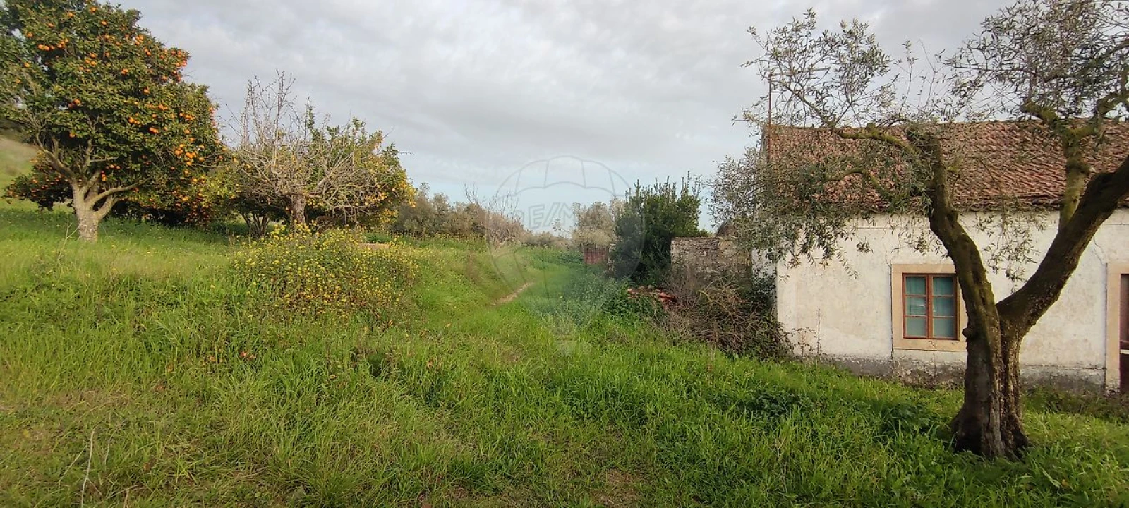 Moradia T3 para Venda em Azambujeira e Malaqueijo Foto 1