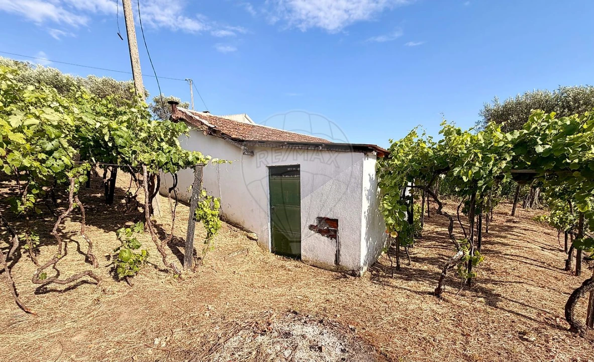 Moradia T1 para Venda em Lobrigos (São Miguel e São João Baptista) e Sanhoane Foto 2