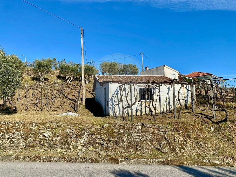 Moradia T1 para Venda em Lobrigos (São Miguel e São João Baptista) e Sanhoane Foto 6