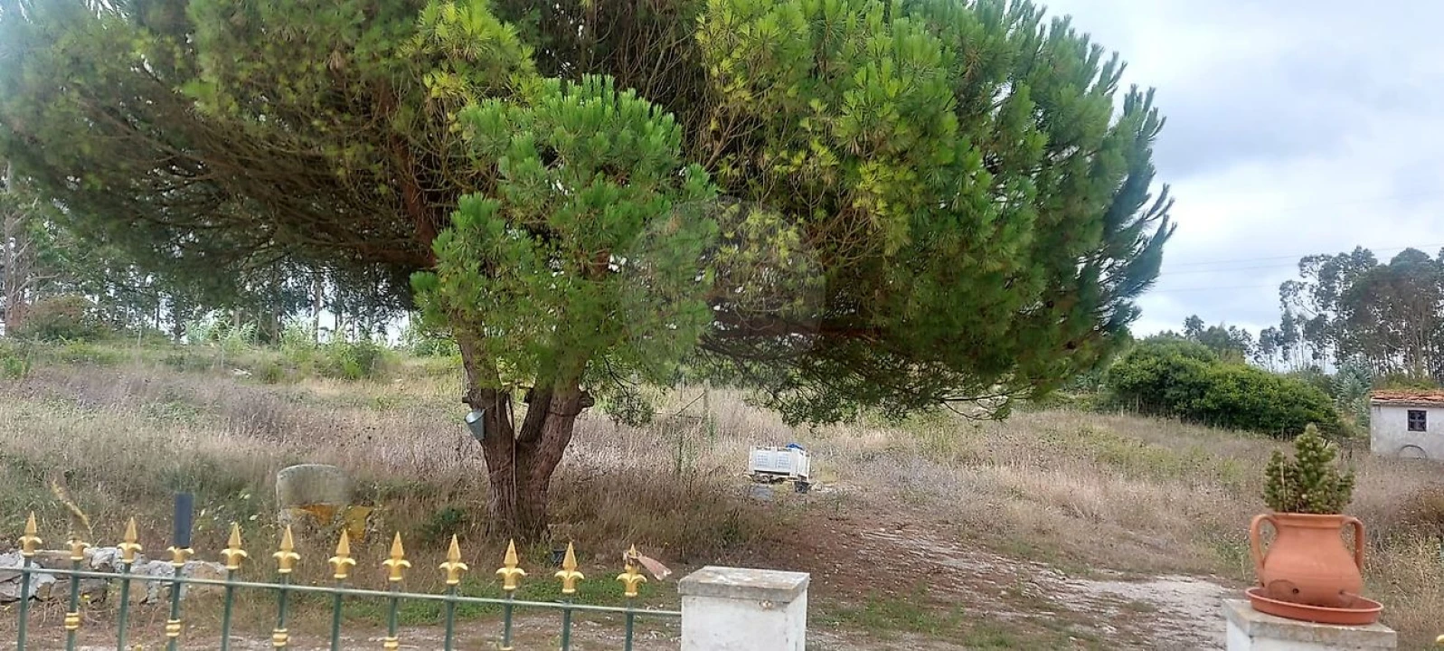 Terreno para Venda em Olho Marinho Foto 21