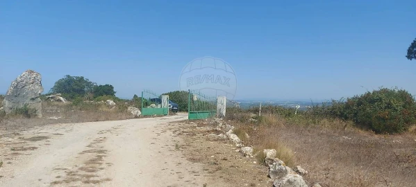 Terreno para Venda em Olho Marinho