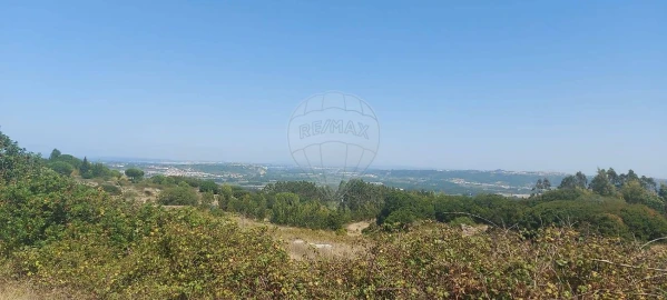 Terreno para Venda em Olho Marinho