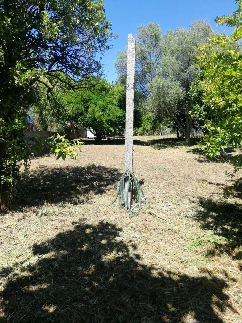 Moradia T3 para Venda em Vila das Aves