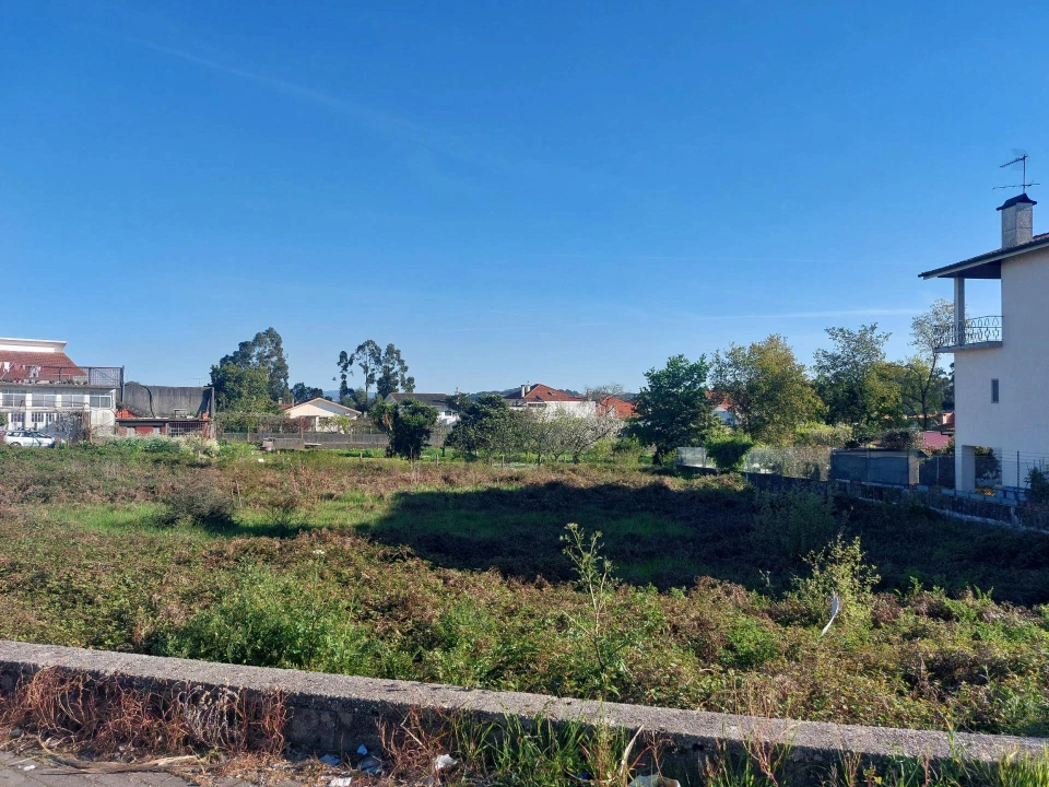 Terreno Agricola ou Rústico para Venda em Santa Maria da Feira, Travanca, Sanfins e Espargo Foto 11