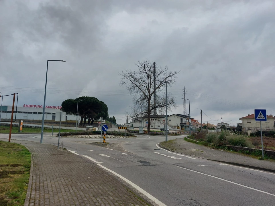 Terreno Agricola ou Rústico para Venda em Santa Maria da Feira, Travanca, Sanfins e Espargo Foto 13