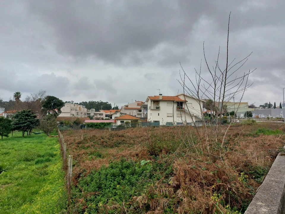Terreno Agricola ou Rústico para Venda em Santa Maria da Feira, Travanca, Sanfins e Espargo Foto 3