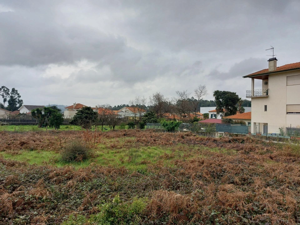 Terreno Agricola ou Rústico para Venda em Santa Maria da Feira, Travanca, Sanfins e Espargo Foto 5