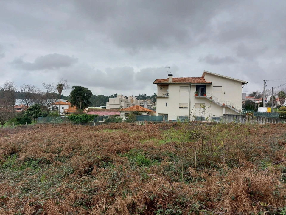 Terreno Agricola ou Rústico para Venda em Santa Maria da Feira, Travanca, Sanfins e Espargo Foto 6