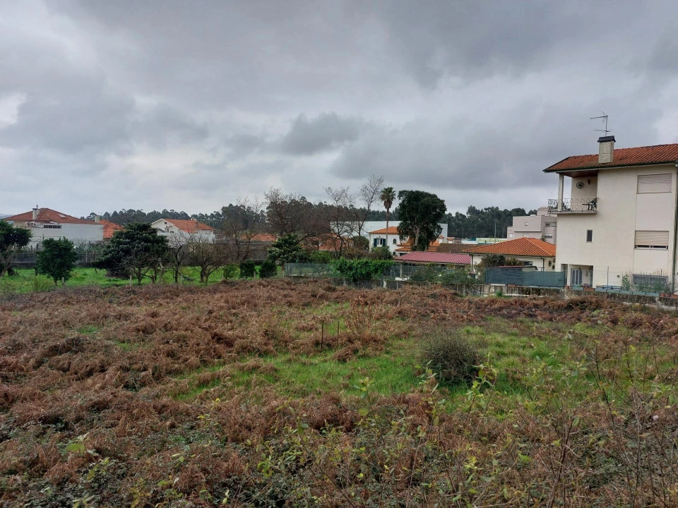 Terreno Agricola ou Rústico para Venda em Santa Maria da Feira, Travanca, Sanfins e Espargo Foto 8